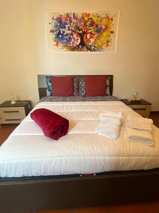Appartement Host San Pietro à Formigine Extérieur photo